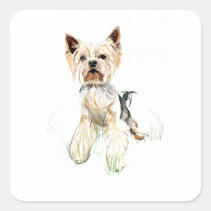 Quadrado Adesivo de Yorkie, Yorkshire Terrier Feliz