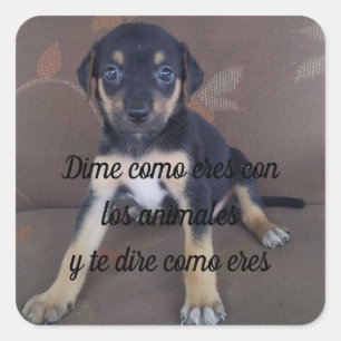 Quadrado Adesivo Dime como eres con los animales