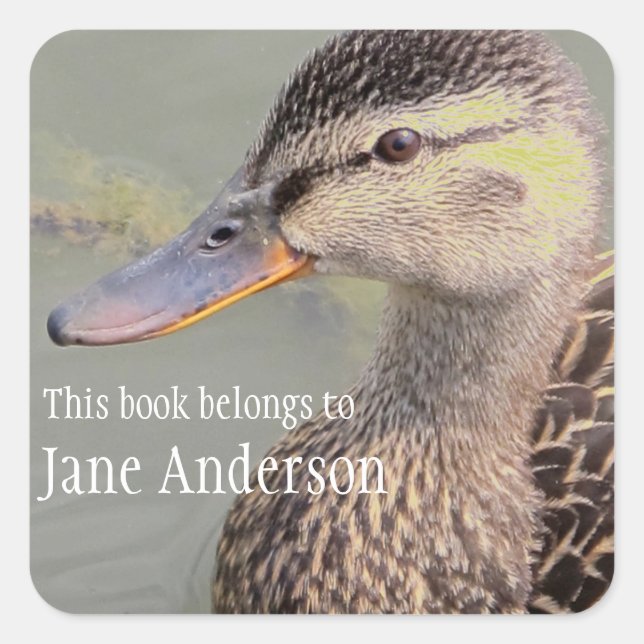 Quadrado Adesivo Personalizado da Mama Duck Bookplate (Frente)