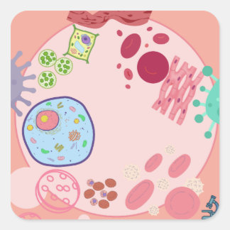 Quadrado Biologia Células Adesivo – Ciência de Células Colo