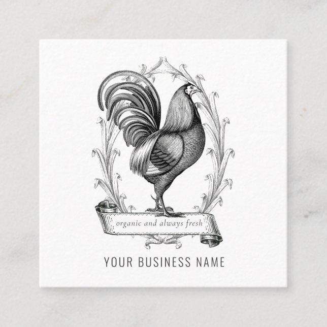 Quadrado Cartão de visita da Fazenda da  da faixa de frango (Frente)