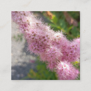 Quadrado Cartão de Visita Floral de Flor de Astilbe Rosa pa