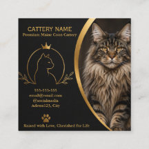 Cartão de Visita Personalizado de Cattery Maine Co