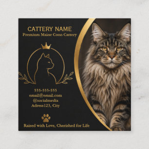 Quadrado Cartão de Visita Personalizado de Cattery Maine Co