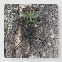 Quadrado Cicada Relógio