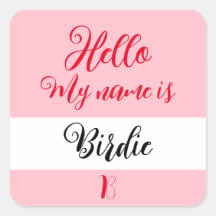 Crachá de Nome Adesivo "Olá Meu Nome É"