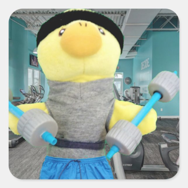 Quadrado Danny Duck na academia Adesivo (Frente)