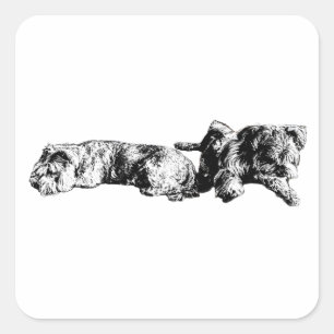 Quadrado Dois Schnauzers – Adesivo de Cachorro Preto e Bran