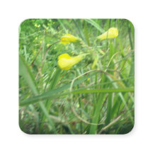 ESTILO cartão de visita ART&DESIGN