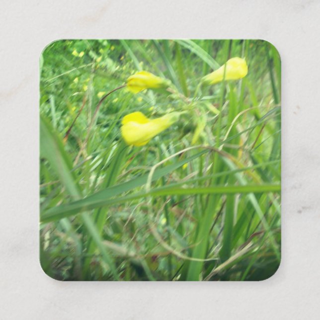 Quadrado ESTILO cartão de visita ART&DESIGN (Frente)