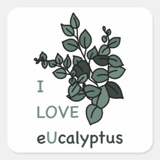 Quadrado Eu adoro o adesivo de ucalyptus