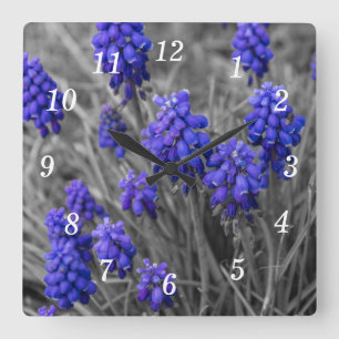 Quadrado Família de Hyacinths de Grama Selecionar Relógio d