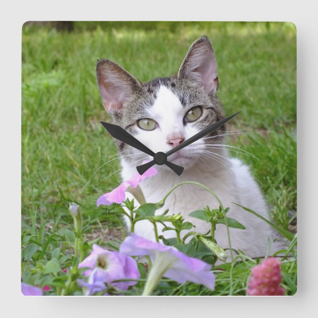 Quadrado Gatinho no relógio da parede de Petunias (Frente)
