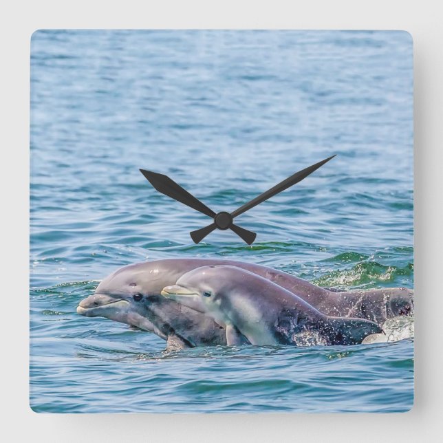 Quadrado Golfinho de Amor e Relógio de Bebê da Mãe (Frente)