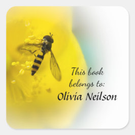 Quadrado Hoverfly "Este livro pertence a" adesivo