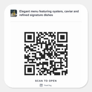 Quadrado Modelo de Adesivo QR PeekTag