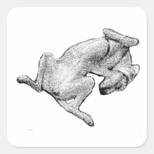 Quadrado Modo Flop: Ativado – Adesivo de Arte de Cachorro