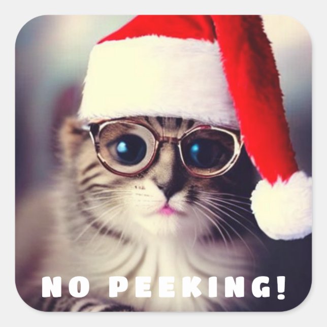 Quadrado Não é necessário um adesivo redondo clássico de pi (Frente)