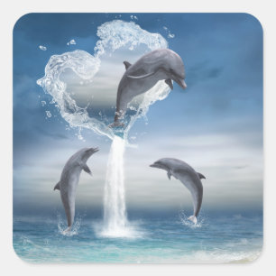 Quadrado O coração do adesivo dos golfinhos