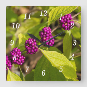 Quadrado O Relógio de Muro de Beautyberry Americano