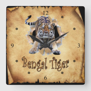 Quadrado O Tigre Bengala Quebra O Relógio De Papel! ~