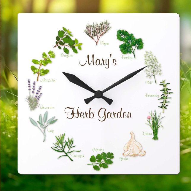 Quadrado Personalize seu relógio de jardim herbáceo (Custom Herb Garden Clock
Check your Thyme! Personalize with your custom text. )