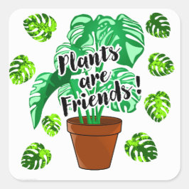 Quadrado Plantas são adesivo de Amigos de Monstera Potada