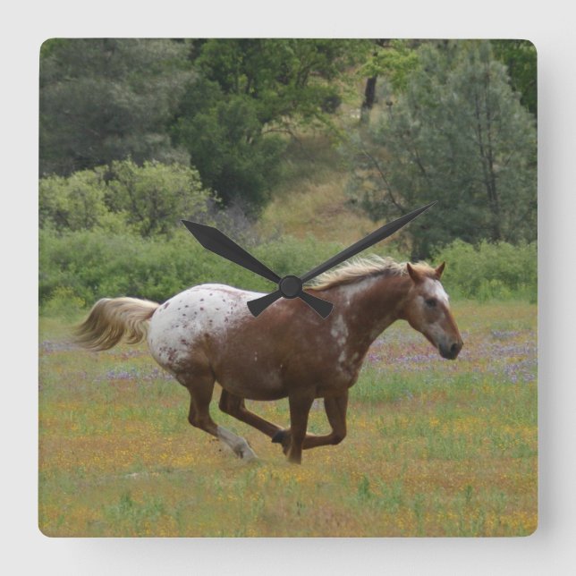 Quadrado Relógio Appaloosa (Frente)