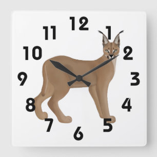 Quadrado Relógio Caracal