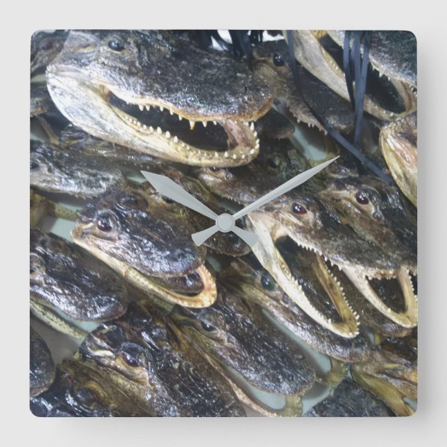 Quadrado Relógio da Cabeça do Gator (Frente)