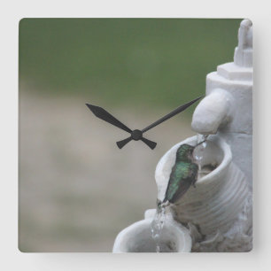 Quadrado Relógio de beija-flor