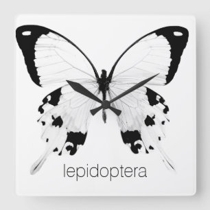Quadrado relógio de borboleta preto e branco