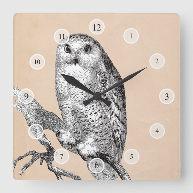 Quadrado Relógio de Coruja Vintage (Frente)