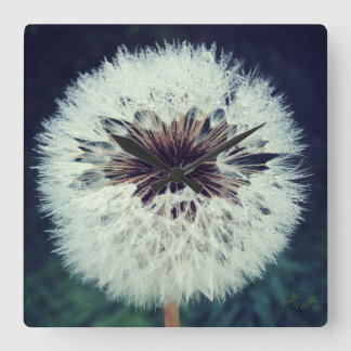 Quadrado Relógio de Dandelion Dewy... Relógio!