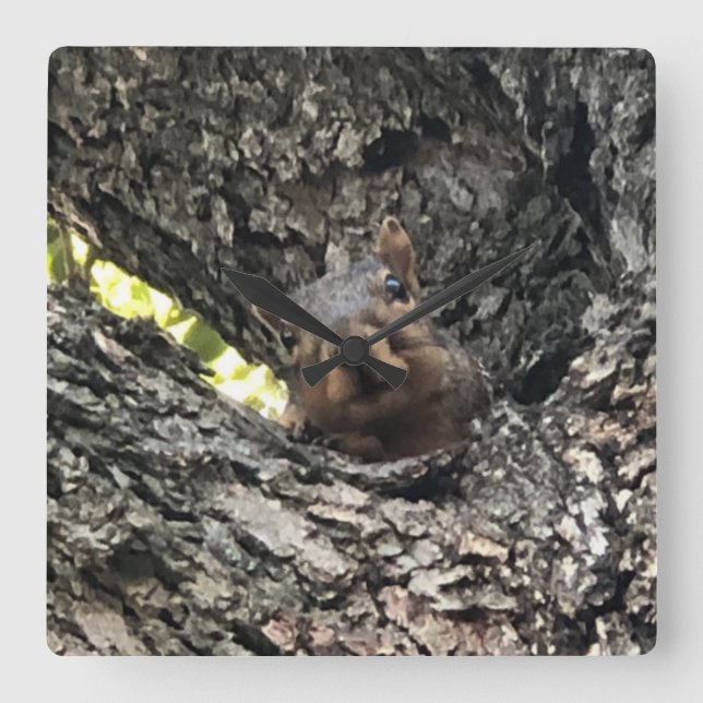 Quadrado Relógio de Esquilo (Frente)