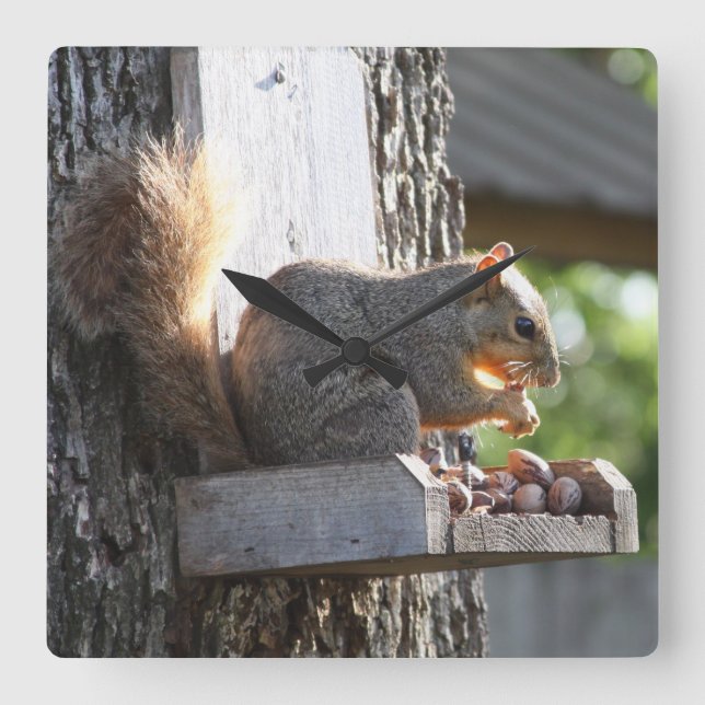 Quadrado Relógio de Esquilo (Frente)