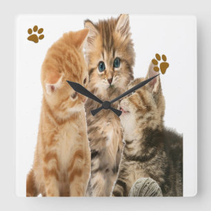 Quadrado relógio de gatinhos