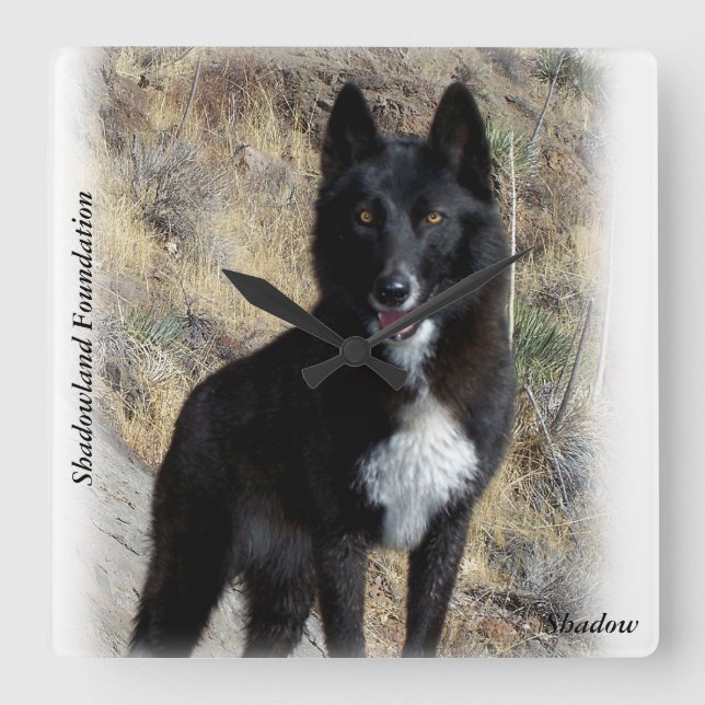 Quadrado Relógio de Lobo Negro (Frente)