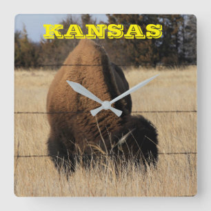Quadrado Relógio de Muro da Praça do Kansas Buffalo
