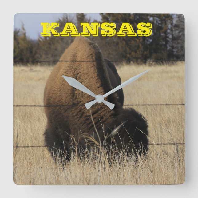 Quadrado Relógio de Muro da Praça do Kansas Buffalo (Frente)