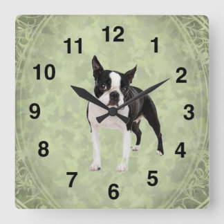Quadrado Relógio de Muro de Boston Terrier