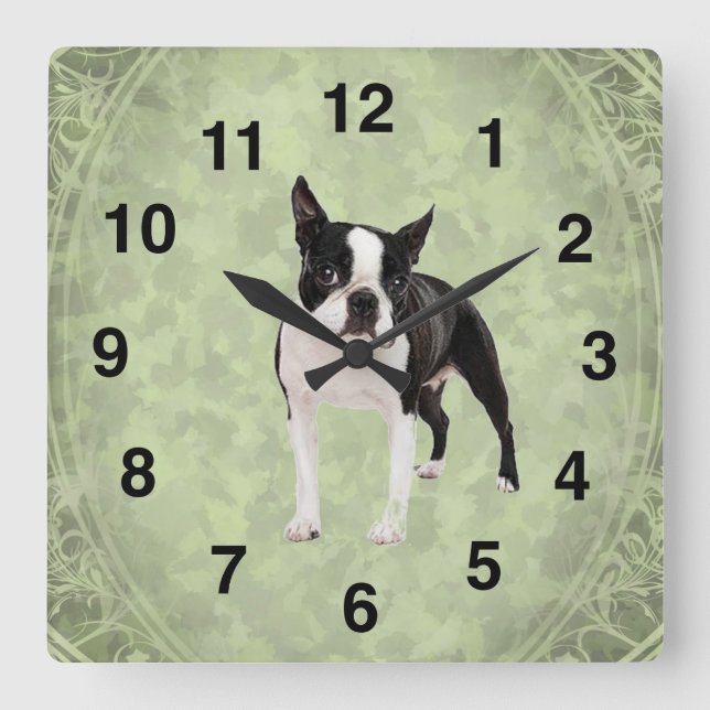 Quadrado Relógio de Muro de Boston Terrier (Frente)