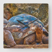 Relógio de Muro de Torturas de Galápagos