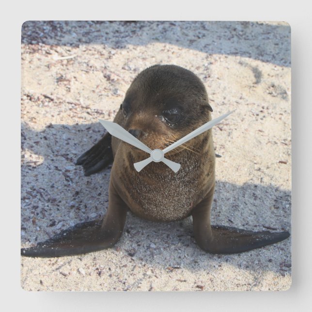 Quadrado Relógio de Selo (Frente)