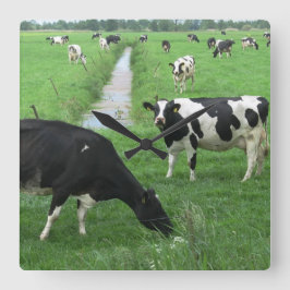 Quadrado Relógio De Vaca