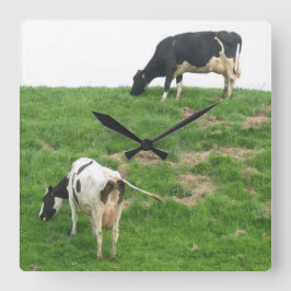 Quadrado Relógio de Vacas