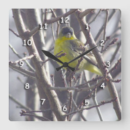 Quadrado Relógio - Finch Amarelo em Ramais