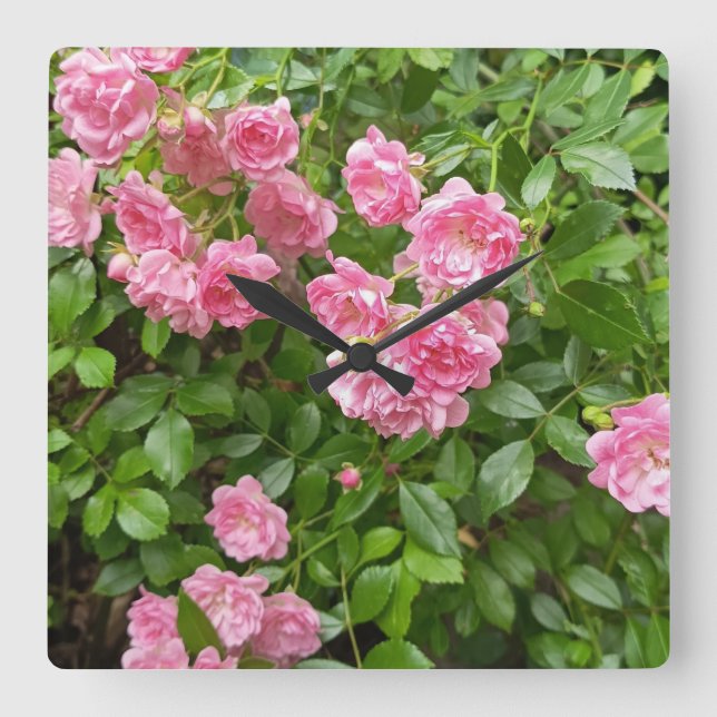 Quadrado Relógio Floral Jardim de Rosas Rosa (Frente)