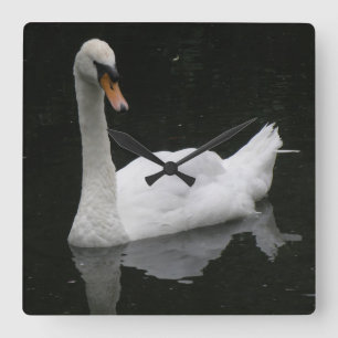 Quadrado Relógio Lindo Swan Branco