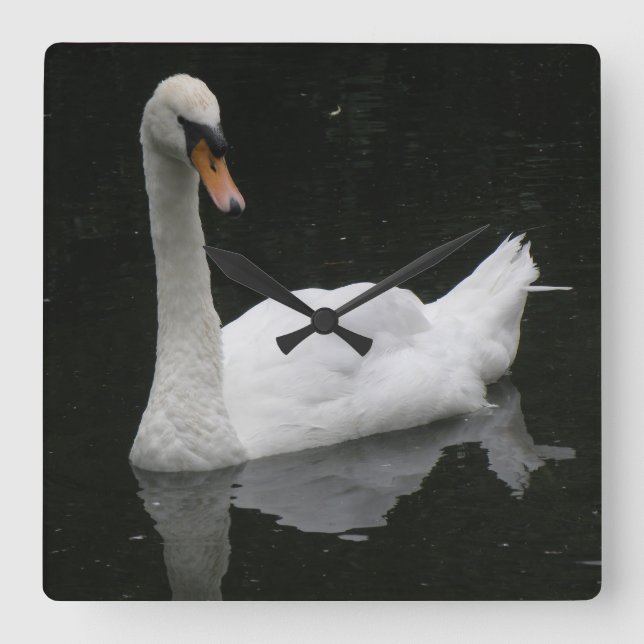 Quadrado Relógio Lindo Swan Branco (Frente)